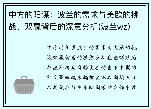 中方的阳谋：波兰的需求与美欧的挑战，双赢背后的深意分析(波兰wz)