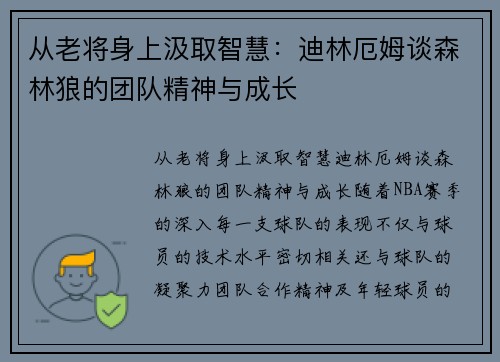 从老将身上汲取智慧：迪林厄姆谈森林狼的团队精神与成长