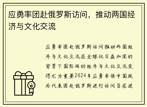 应勇率团赴俄罗斯访问，推动两国经济与文化交流